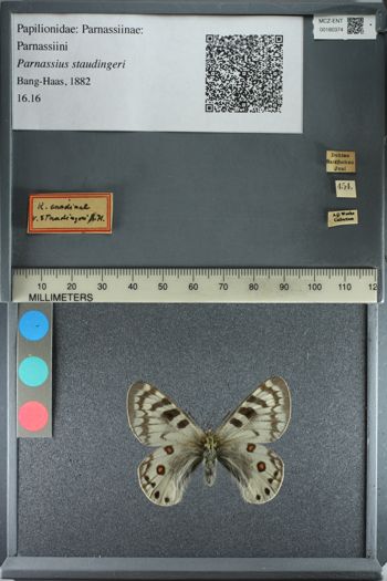 Media type: image;   Entomology 180374